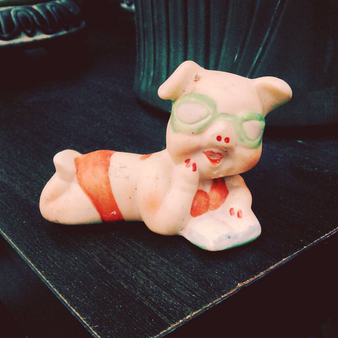 Photograph of an anthromorphic pig in a "sexy" pose and wearing makeup and a red bikini.