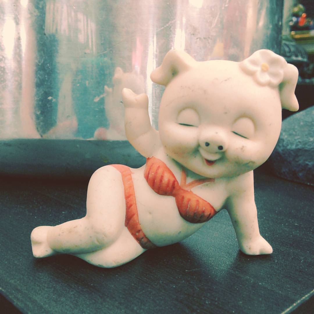 Photo of an anthromorphic pig, in a "sexy" pose, wearing makeup and a red bikini